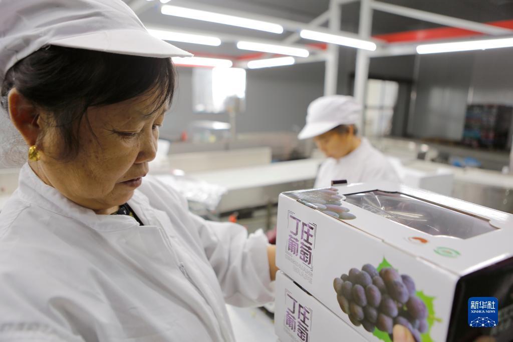 大赢家游戏官网